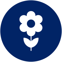 flower icon